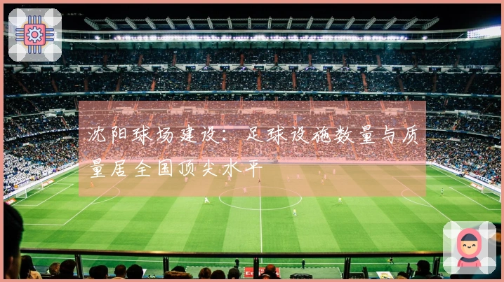 沈阳球场建设：足球设施数量与质量居全国顶尖水平