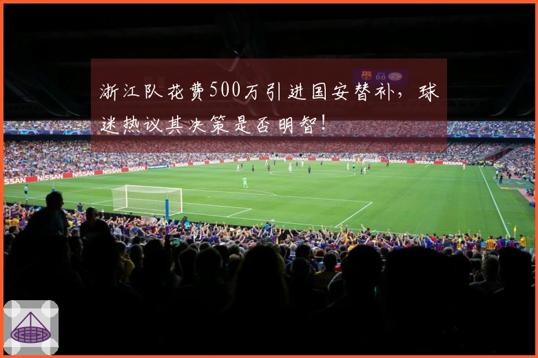 浙江队花费500万引进国安替补，球迷热议其决策是否明智！