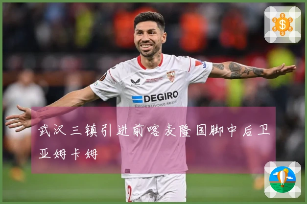 武汉三镇引进前喀麦隆国脚中后卫亚姆卡姆